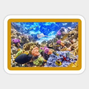 Underwater world coral reef photography Sticker